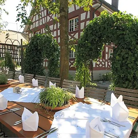 Hirschen Hotel 3*