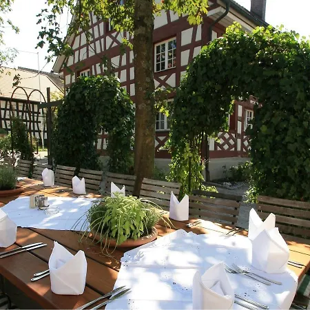 מלון Hirschen Horn גיינהופן