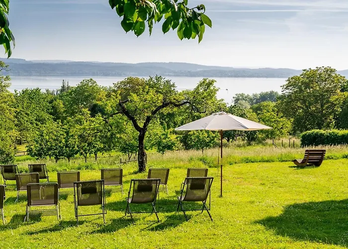 Hirschen Horn Gaienhofen