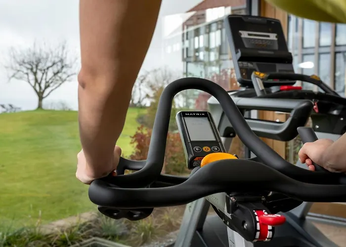 Hirschen Horn Szálloda Gaienhofen