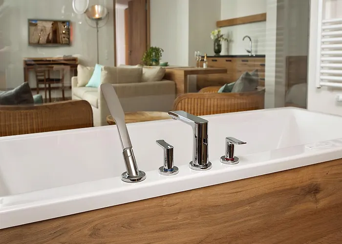 Hirschen Horn Gaienhofen